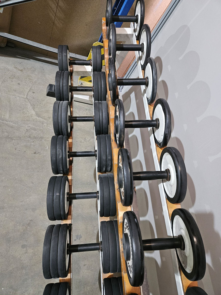 Technogym Kurzhantelsatz aus Guss mit Gummi Außenringen von 4 bis 32kg in 2kg Stufen ( 15 Paare ) Oldschool, Optional mit Kurzhantelablage, gebraucht - mit Gebrauchsspuren