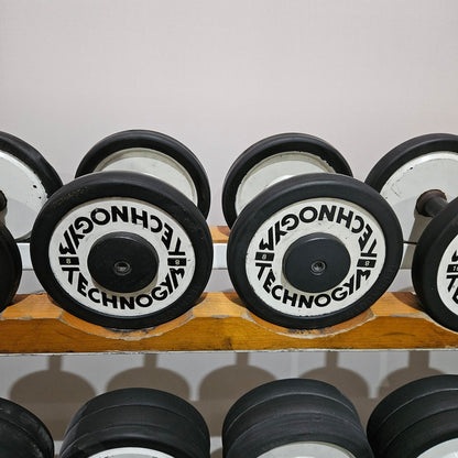Technogym Kurzhantelsatz aus Guss mit Gummi Außenringen von 4 bis 32kg in 2kg Stufen ( 15 Paare ) Oldschool, Optional mit Kurzhantelablage, gebraucht - mit Gebrauchsspuren