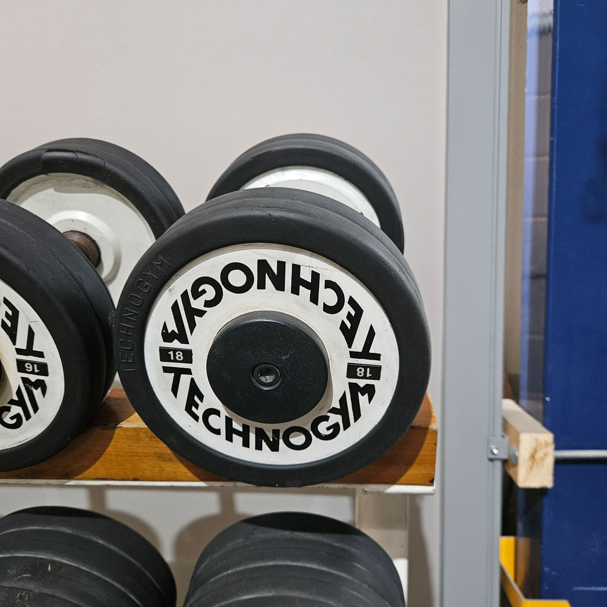 Technogym Kurzhantelsatz aus Guss mit Gummi Außenringen von 4 bis 32kg in 2kg Stufen ( 15 Paare ) Oldschool, Optional mit Kurzhantelablage, gebraucht - mit Gebrauchsspuren