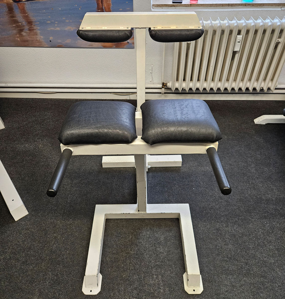 Rückenstreckerbank 90° Hyperextension verstellbar zum training der unteren Rückenmuskulatur, Oldschool Bodybuilding, Rahmenfarbe Weiß, gebraucht und geprüft mit Gebrauchsspuren