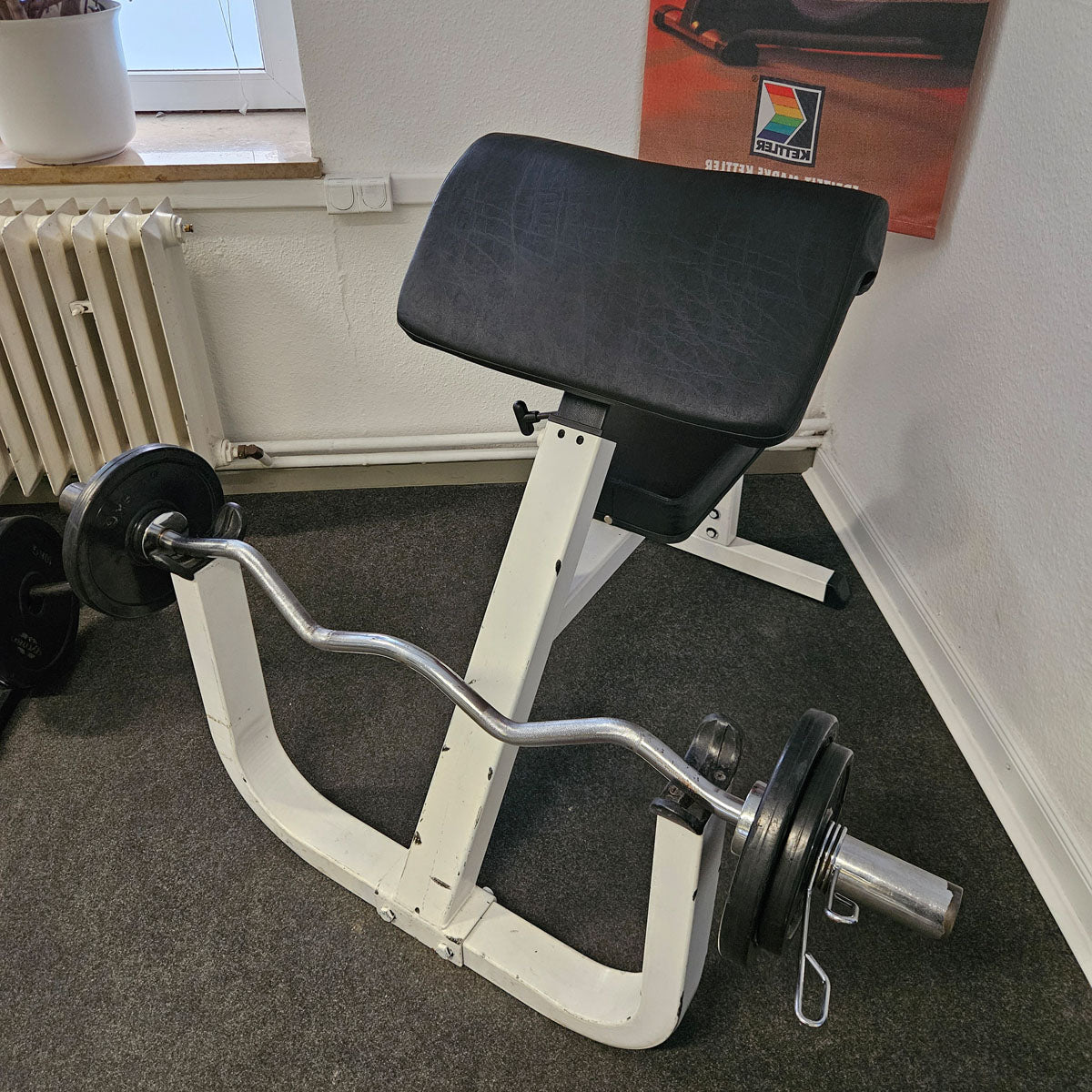 Scottcurl, Bizepsbank, SZ Curls, Rahmenfarbe Weiß, gebraucht mit Gebrauchsspuren