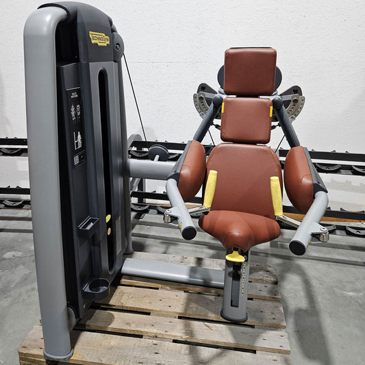 Technogym Selection Pro Seitheben, Delts Machine Kraftgerät für Schultertraining, Lateral Raise, Rahmenfarbe Silber, gebraucht - überholter Zustand