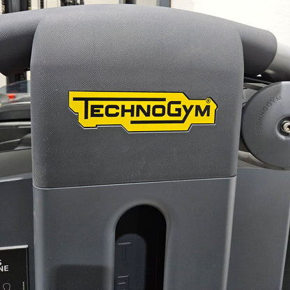 Technogym Selection Pro Seitheben, Delts Machine Kraftgerät für Schultertraining, Lateral Raise, Rahmenfarbe Silber, gebraucht - überholter Zustand