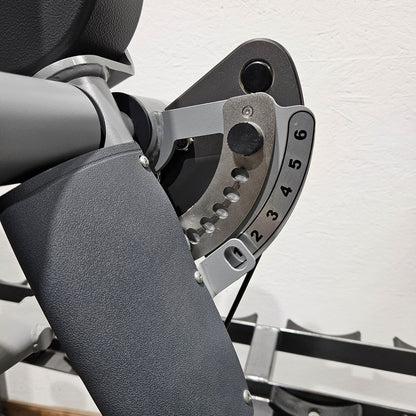 Technogym Selection Pro Seitheben, Delts Machine Kraftgerät für Schultertraining, Lateral Raise, Rahmenfarbe Silber, gebraucht - überholter Zustand