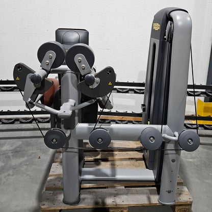 Technogym Selection Pro Seitheben, Delts Machine Kraftgerät für Schultertraining, Lateral Raise, Rahmenfarbe Silber, gebraucht - überholter Zustand