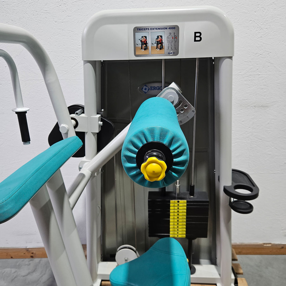 Ergo-Fit Trizepsmaschine horizontal, Triceps Extension, Armstrecker, 4000 Serie, Rahmenfarbe Weiß, gebraucht - überholter Zustand