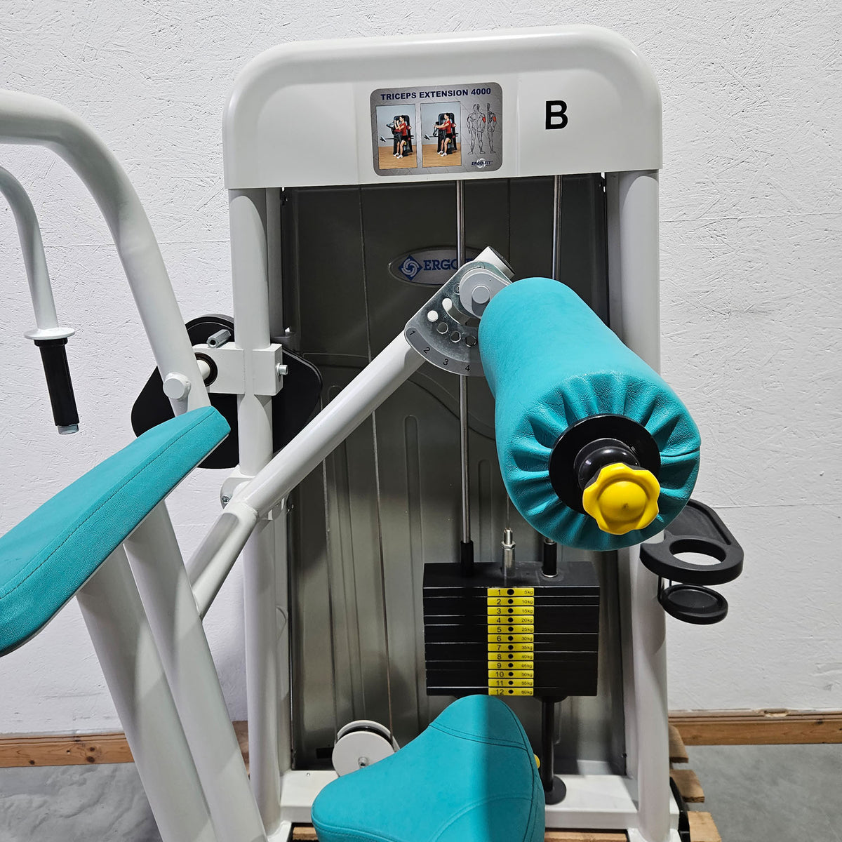 Ergo-Fit Trizepsmaschine horizontal, Triceps Extension, Armstrecker, 4000 Serie, Rahmenfarbe Weiß, gebraucht - überholter Zustand