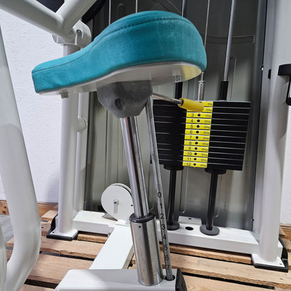 Ergo-Fit Trizepsmaschine horizontal, Triceps Extension, Armstrecker, 4000 Serie, Rahmenfarbe Weiß, gebraucht - überholter Zustand