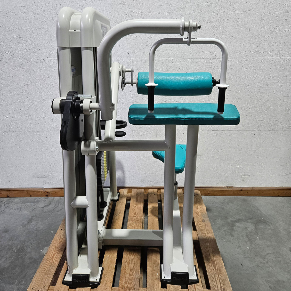 Ergo-Fit Trizepsmaschine horizontal, Triceps Extension, Armstrecker, 4000 Serie, Rahmenfarbe Weiß, gebraucht - überholter Zustand