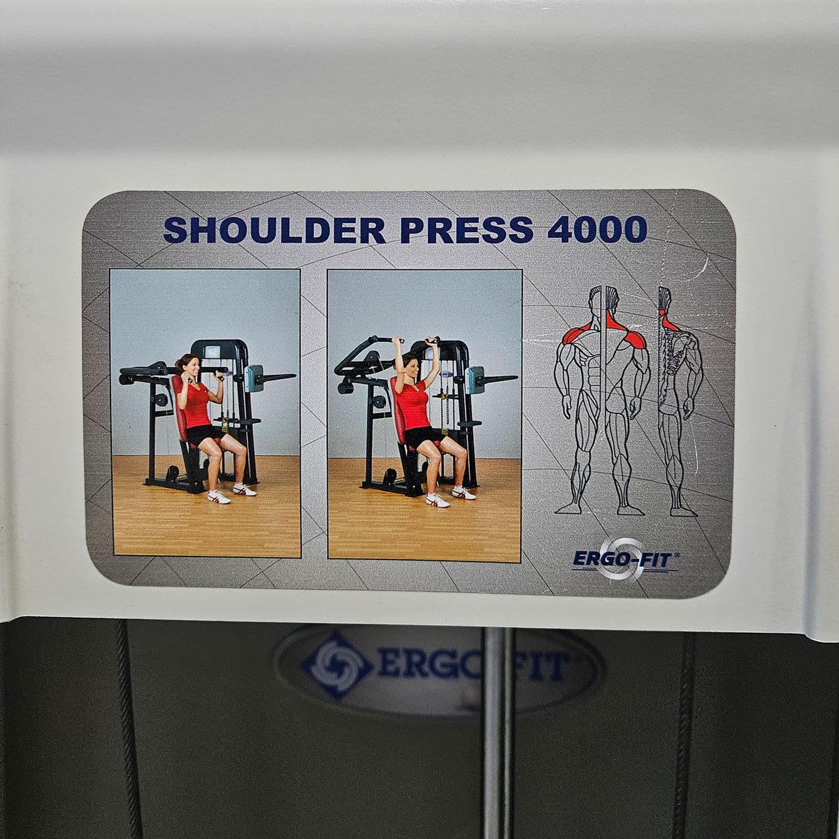Ergo-Fit Schulterpresse, Shoulder Press, Überkopfdrücken, 4000 Serie, Rahmenfarbe Weiß, gebraucht - überholter Zustand