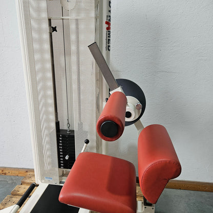Dynamed Bauchmaschine und Rückenstrecker 2 in 1 Kombimaschine - Bauchmuskeltraining und Hyperextension, Abs and Lower Back, Stolzenberg, Rahmen Weiß, gebraucht - überholter Zustand