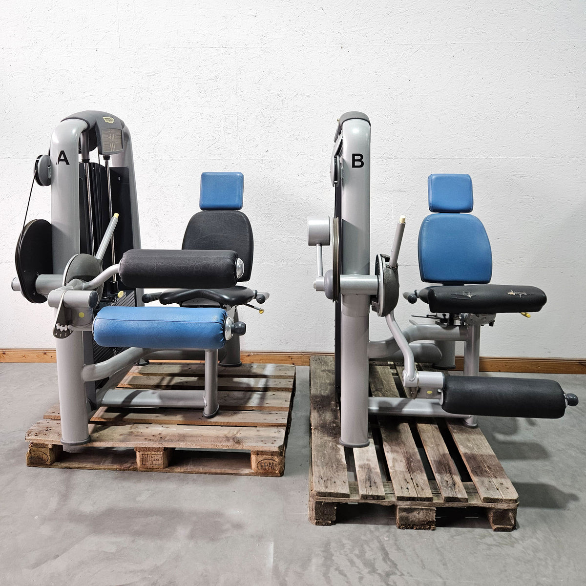 Technogym 2-piece set = Leg Extension and Leg Curl, Selection Line, frame color silver, used - refurbished condition