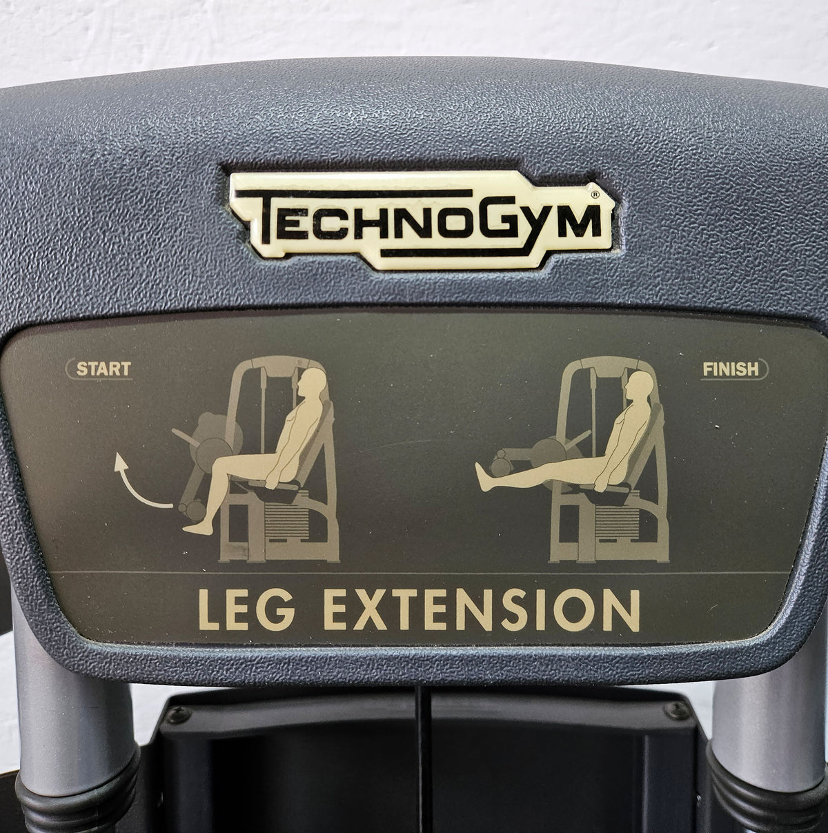 Technogym 2-piece set = Leg Extension and Leg Curl, Selection Line, frame color silver, used - refurbished condition
