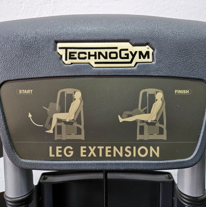 Technogym 2-piece set = Leg Extension and Leg Curl, Selection Line, frame color silver, used - refurbished condition