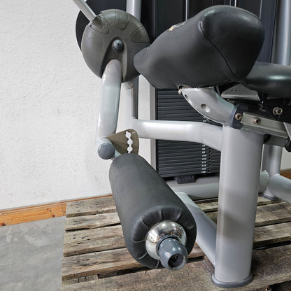 Technogym 2-piece set = Leg Extension and Leg Curl, Selection Line, frame color silver, used - refurbished condition