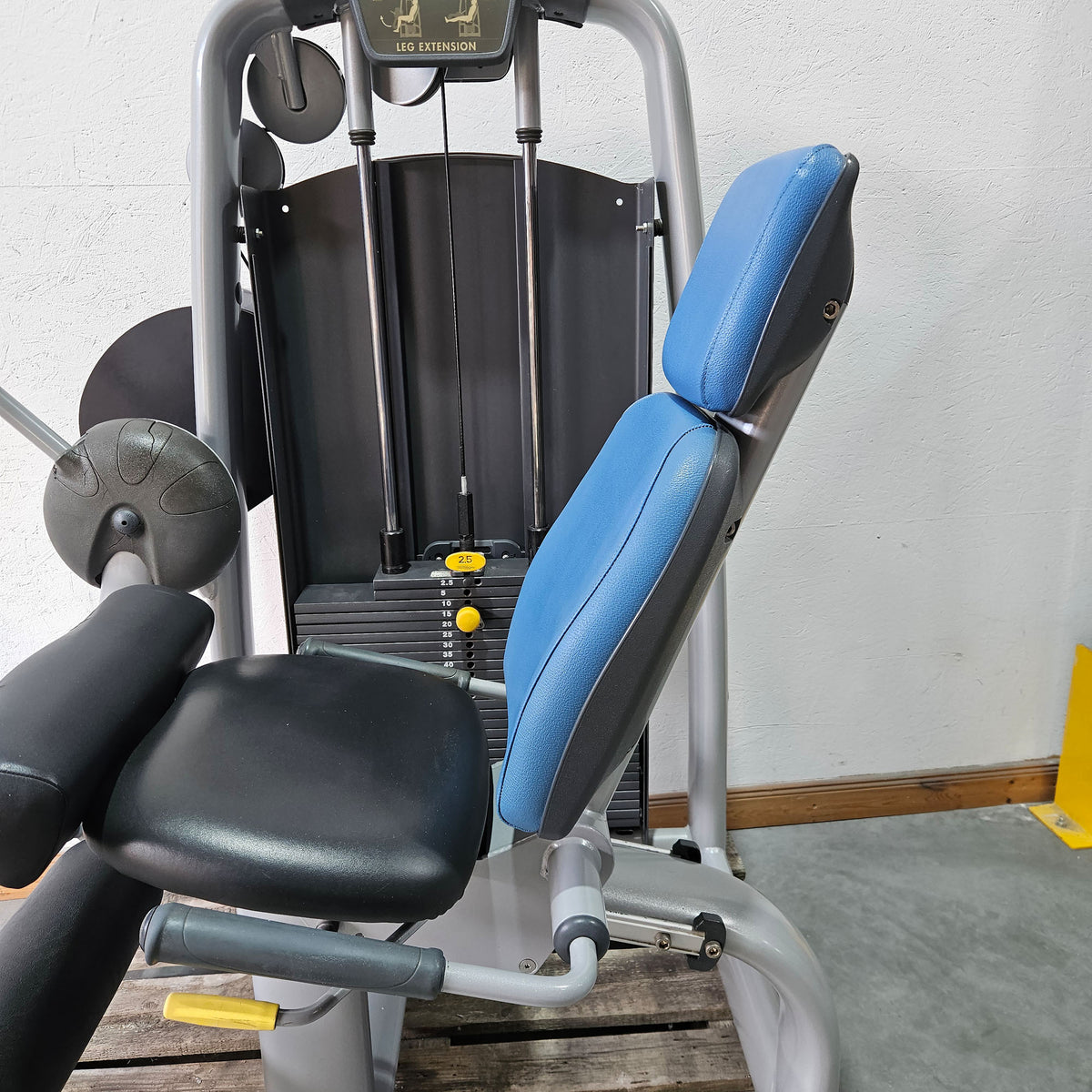 Technogym 2-piece set = Leg Extension and Leg Curl, Selection Line, frame color silver, used - refurbished condition