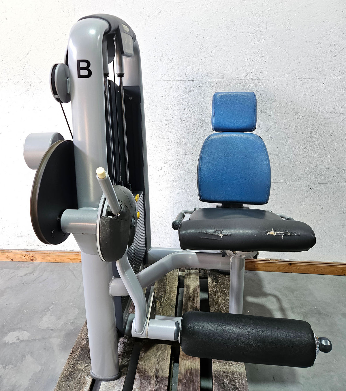 Technogym 2-piece set = Leg Extension and Leg Curl, Selection Line, frame color silver, used - refurbished condition