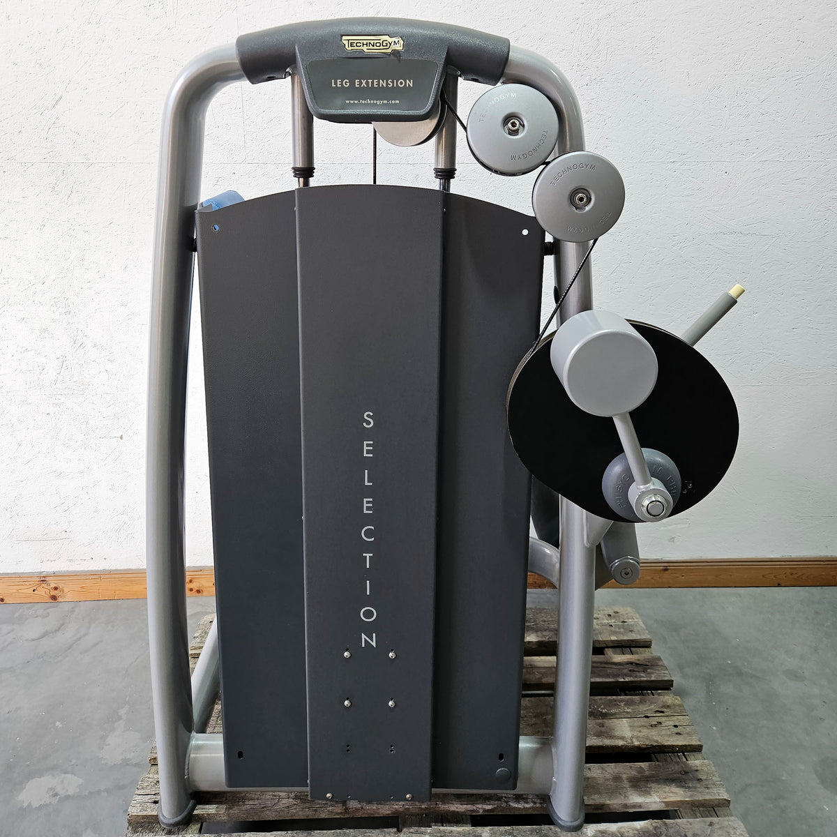 Technogym 2-piece set = Leg Extension and Leg Curl, Selection Line, frame color silver, used - refurbished condition