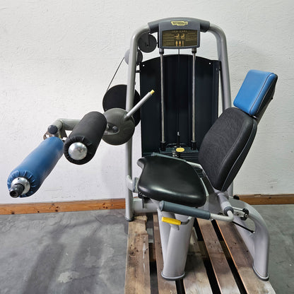 Technogym 2-piece set = Leg Extension and Leg Curl, Selection Line, frame color silver, used - refurbished condition