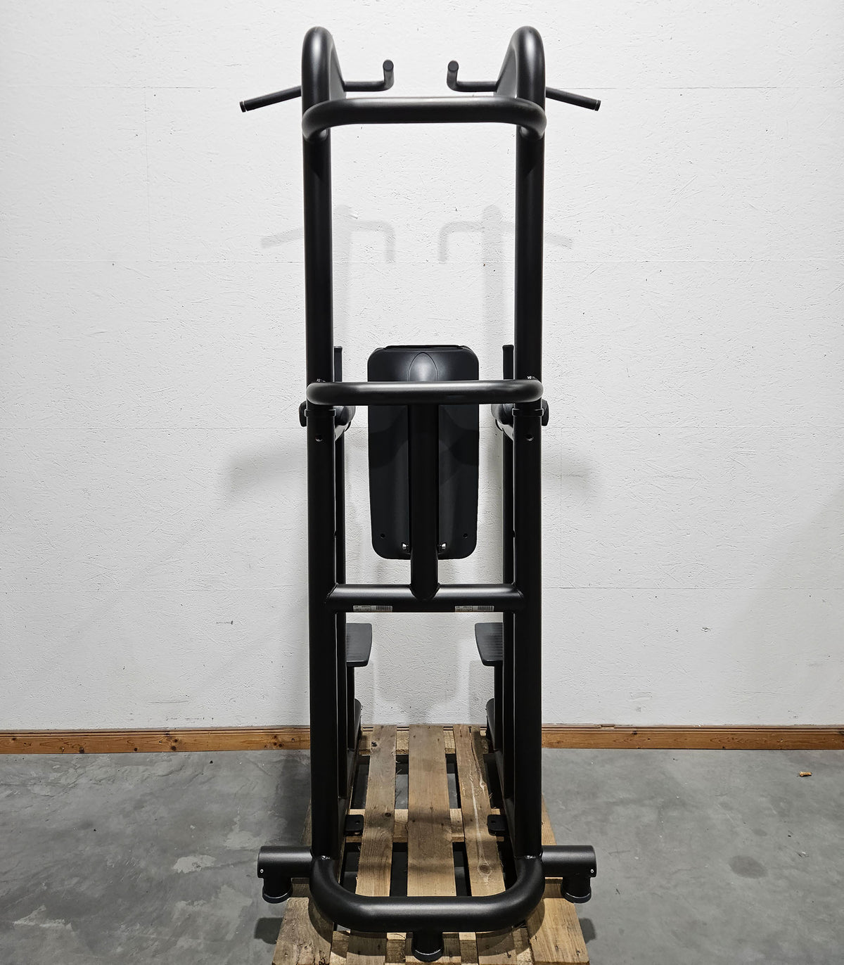 Technogym 3 in 1 Gerät, Chip Up & Dip & Leg Raise - Dips, Beinheben und Klimmzug Ständer, Rahmen Schwarz, gebraucht - überholter Zustand