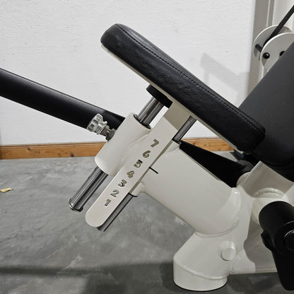 Gym80 Schulterpresse DUAL 3043 Sygnum, Shoulder Press, Overhead Press, Rahmenfarbe Weiß, gebraucht - überholter Zustand