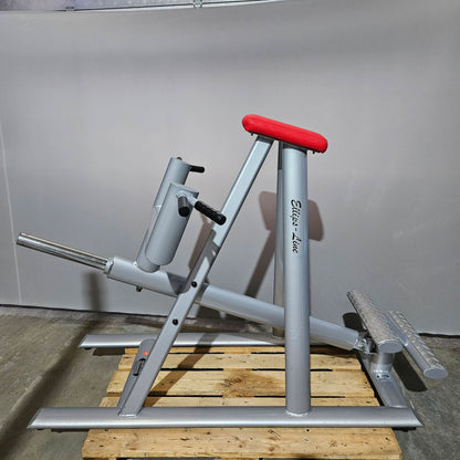 Teuwsen T-Bar Row Ruderstation mit Bruststütze. Ähnlich Gym80 oder L+K, Plate loaded Kraftgerät Rudern, Rahmen Silber, gebraucht - geprüfter Zustand