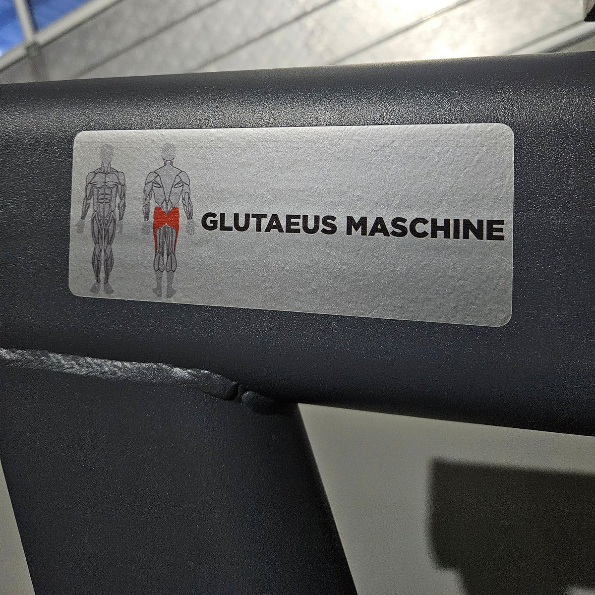 Master Sport Glute Machine, Plate Loaded Strength Equipment Glutes Kick Radial, Standing Glute Machine, Anthracite, Used - Tested Condition
