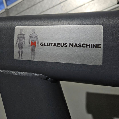 Master Sport Glute Machine, Plate Loaded Strength Equipment Glutes Kick Radial, Standing Glute Machine, Anthracite, Used - Tested Condition