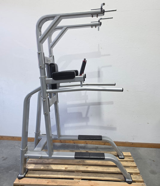 Nautilus 3-in-1 Machine, Dips, Leg Raise, and Pull-up Stand = Pull Up - Dip - Leg Raise, Inspiration Strength Series NP-B7511, Frame Color Silver, used with signs of wear