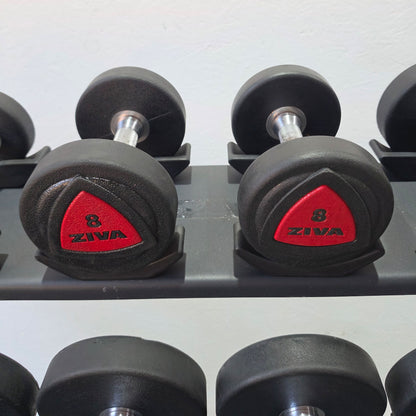 Ziva Kurzhantelsatz aus Urethane 4 bis 30kg in 2kg Stufen ( 14 Paare ) Material ähnlich Gummi bzw PU Polyurethane, INKLUSIVE Precor Kurzhantelablage, gebraucht - mit Gebrauchsspuren