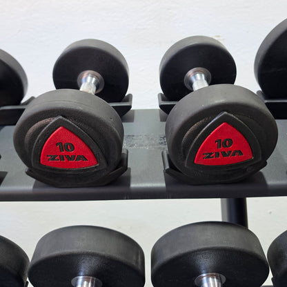 Ziva Kurzhantelsatz aus Urethane 4 bis 30kg in 2kg Stufen ( 14 Paare ) Material ähnlich Gummi bzw PU Polyurethane, INKLUSIVE Precor Kurzhantelablage, gebraucht - mit Gebrauchsspuren