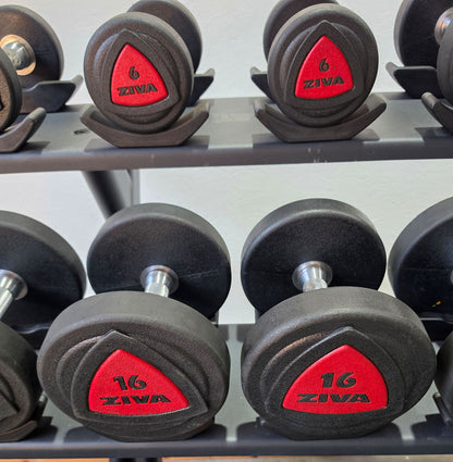 Ziva Kurzhantelsatz aus Urethane 4 bis 30kg in 2kg Stufen ( 14 Paare ) Material ähnlich Gummi bzw PU Polyurethane, INKLUSIVE Precor Kurzhantelablage, gebraucht - mit Gebrauchsspuren