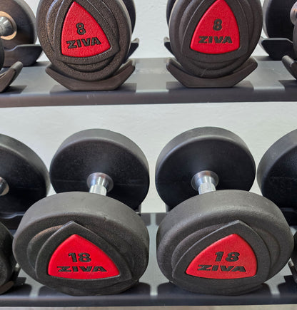 Ziva Kurzhantelsatz aus Urethane 4 bis 30kg in 2kg Stufen ( 14 Paare ) Material ähnlich Gummi bzw PU Polyurethane, INKLUSIVE Precor Kurzhantelablage, gebraucht - mit Gebrauchsspuren