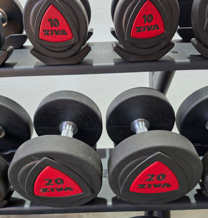 Ziva Kurzhantelsatz aus Urethane 4 bis 30kg in 2kg Stufen ( 14 Paare ) Material ähnlich Gummi bzw PU Polyurethane, INKLUSIVE Precor Kurzhantelablage, gebraucht - mit Gebrauchsspuren