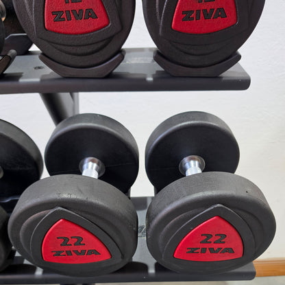 Ziva Kurzhantelsatz aus Urethane 4 bis 30kg in 2kg Stufen ( 14 Paare ) Material ähnlich Gummi bzw PU Polyurethane, INKLUSIVE Precor Kurzhantelablage, gebraucht - mit Gebrauchsspuren