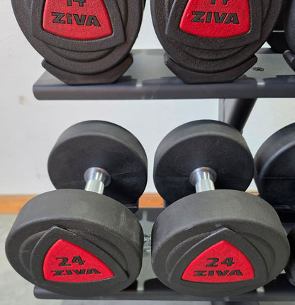Ziva Kurzhantelsatz aus Urethane 4 bis 30kg in 2kg Stufen ( 14 Paare ) Material ähnlich Gummi bzw PU Polyurethane, INKLUSIVE Precor Kurzhantelablage, gebraucht - mit Gebrauchsspuren