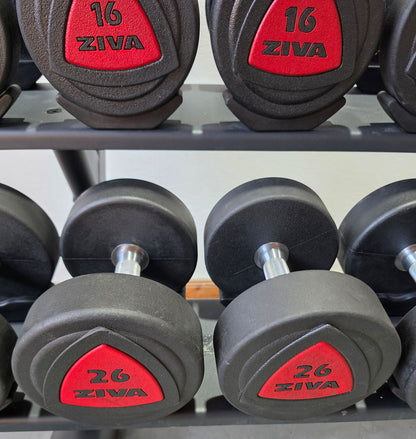 Ziva Kurzhantelsatz aus Urethane 4 bis 30kg in 2kg Stufen ( 14 Paare ) Material ähnlich Gummi bzw PU Polyurethane, INKLUSIVE Precor Kurzhantelablage, gebraucht - mit Gebrauchsspuren