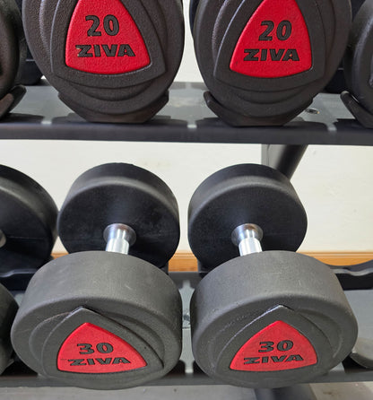 Ziva Kurzhantelsatz aus Urethane 4 bis 30kg in 2kg Stufen ( 14 Paare ) Material ähnlich Gummi bzw PU Polyurethane, INKLUSIVE Precor Kurzhantelablage, gebraucht - mit Gebrauchsspuren