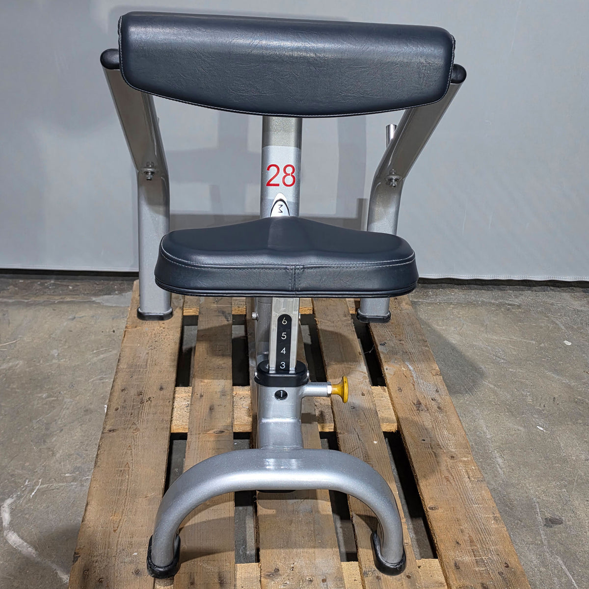 Matrix Scottcurl, Bizepsbank, SZ Curls, Rahmenfarbe Silber, gebraucht mit Gebrauchsspuren
