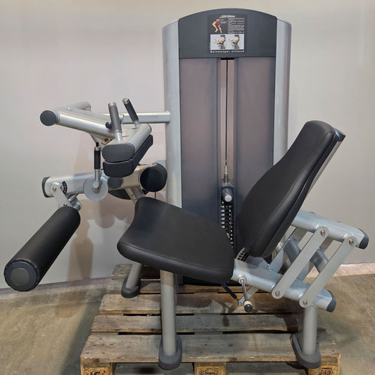 Life Fitness 2er Set = Beinstrecker und Beinbeuger, Leg Extension and Leg Curl Set, Signature Serie, Rahmenfarbe Silber, gebraucht - überholter Zustand