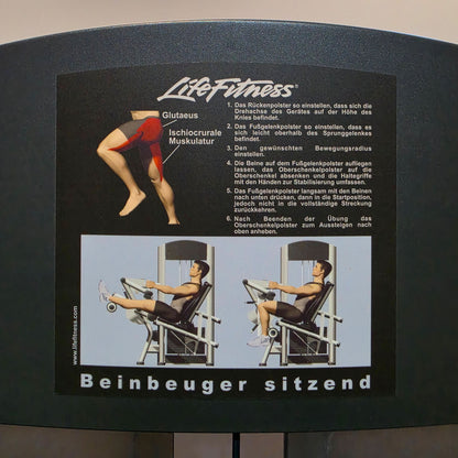 Life Fitness 2er Set = Beinstrecker und Beinbeuger, Leg Extension and Leg Curl Set, Signature Serie, Rahmenfarbe Silber, gebraucht - überholter Zustand