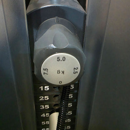 Life Fitness Trizepsmaschine Dip, Armstrecker  Triceps, 135kg Gewichtsblock, Signature Series, Rahmenfarbe Silber, gebraucht - überholter Zustand