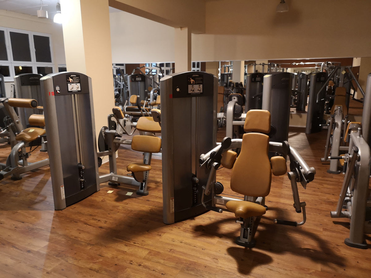 Life Fitness & Hammer Strength - 93 Fitnessgeräte - Kraftgeräte, Cardiogeräte, Plate loaded Geräte, Bänke etc - komplettes Fitnessstudio - gebraucht - TOP Zustand