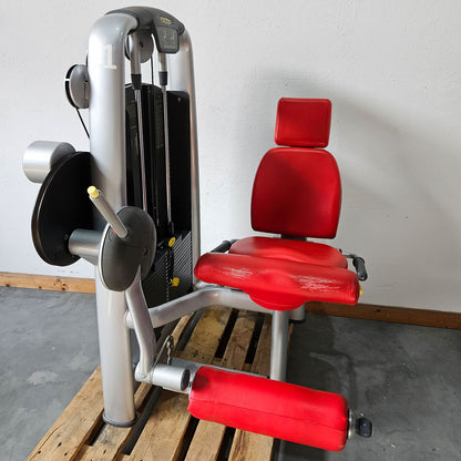 TechnoGym 18 Kraftgeräte im Set, Selection Line, Strength Machines with Stack Weight, Polster Rot, gebraucht - überholter Zustand