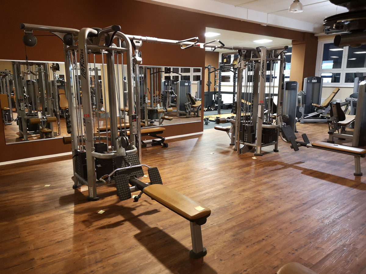 Life Fitness & Hammer Strength - 93 Fitnessgeräte - Kraftgeräte, Cardiogeräte, Plate loaded Geräte, Bänke etc - komplettes Fitnessstudio - gebraucht - TOP Zustand