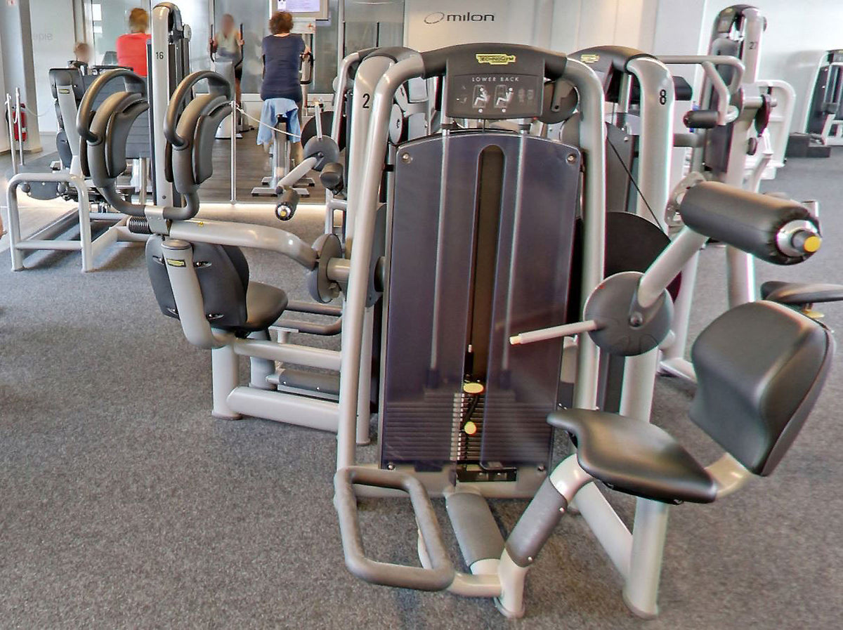 TechnoGym 18 Kraftgeräte mit Steckgewichten im Set aus der Selection Line, Strength Machines with Stack Weight, gebraucht - überholter Zustand