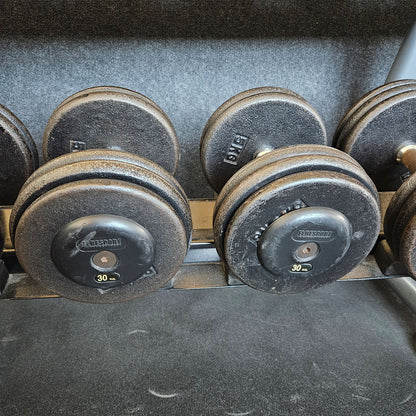 ElbeSport Kurzhantelsatz aus Guss von 2,5 bis 50kg in 2,5kg Stufen ( 20 Paare ) Oldschool, INKLUSIVE Kurzhantelablagen, gebraucht - mit Gebrauchsspuren