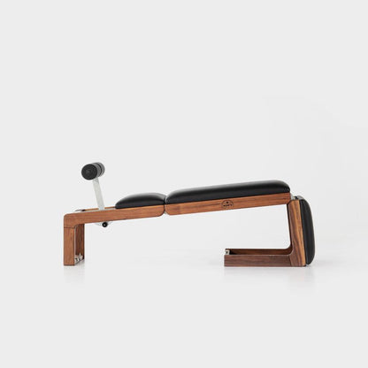 WaterRower NOHrD TriaTrainer Kirsche, Kunstleder/ Echtleder