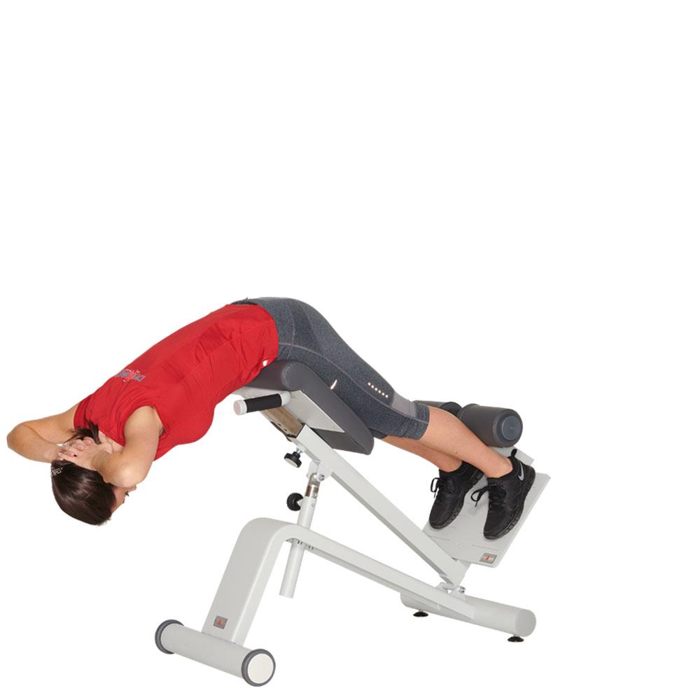 Dynamed Lateral/Lumbar Trainer, Stolzenberg - NEW