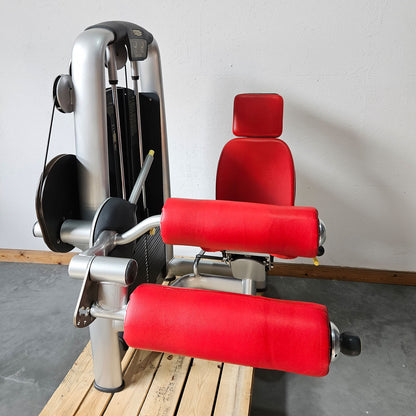 TechnoGym 18 Kraftgeräte im Set, Selection Line, Strength Machines with Stack Weight, Polster Rot, gebraucht - überholter Zustand